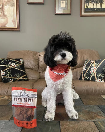 Farm to Pet Turkey Chips Review
