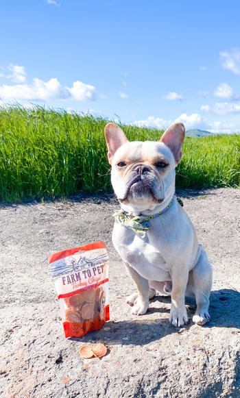 Farm to Pet Turkey Chips Review