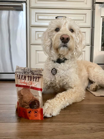 Farm to Pet Turkey Chips Review
