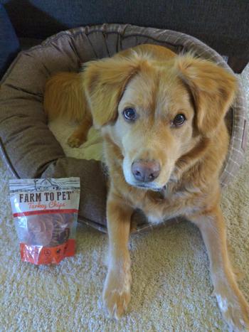 Farm to Pet Poultry Power Pack Healthy Dog Treats Review