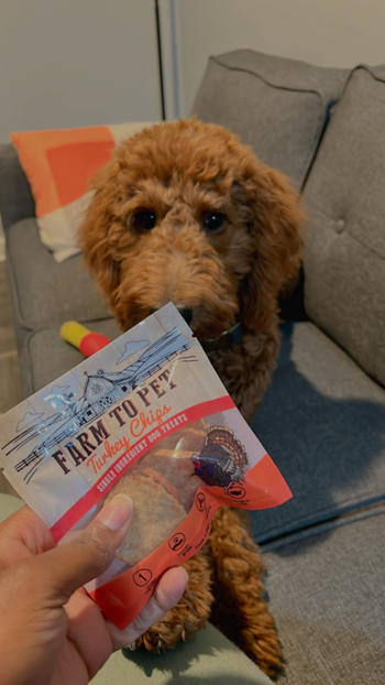 Farm to Pet Turkey Snack Pack Review