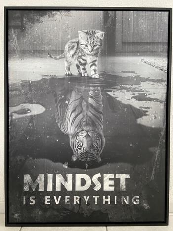 dotcomcanvas.com MINDSET IS EVERYTHING #Tiger Review