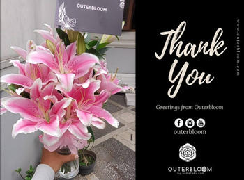 Outerbloom 1 Stalk Of Purple Phalaenopsis Orchid in Vase Review