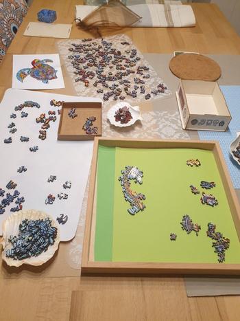 mindsti Unterwasserschildkröte-Puzzle Review