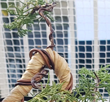 Bonsai Tree Raffia bundle, 50g Review