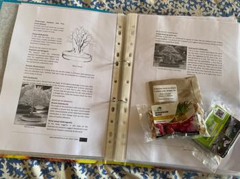 Bonsai Tree Bonsai Beginners E-Book Review