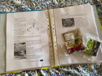 Bonsai Tree Bonsai Beginners E-Book Review