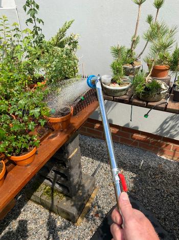 Bonsai Tree Chrome plated watering wand, medium Review