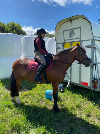 ZacZess Ohio Bordeaux Ridleggings Review