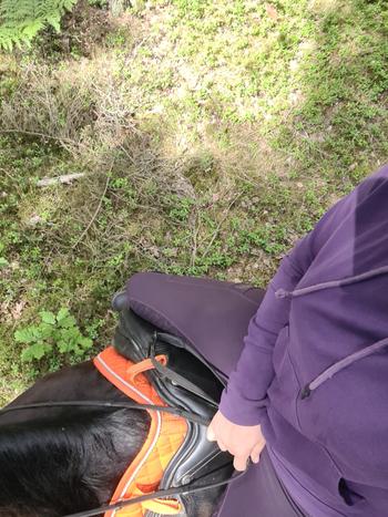ZacZess Ohio Bordeaux Ridleggings Review