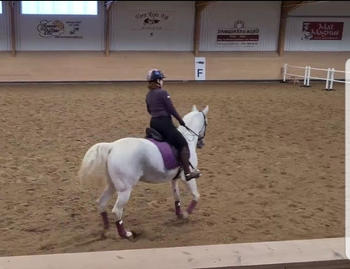 ZacZess Ohio Olive Ridleggings Review