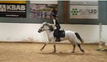 ZacZess Ohio Black Ridleggings Review