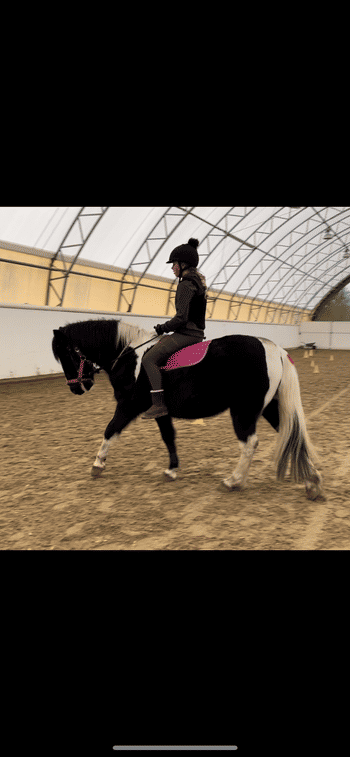 ZacZess Tokyo Black leggings Review