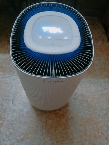 Sterra Sterra Breeze™ Air Purifier Review