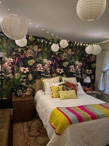 ONDECOR Removable Wallpaper Peel and Stick Wallpaper Wall Paper Wall Mural - Tropical Wallpaper - A470 Review