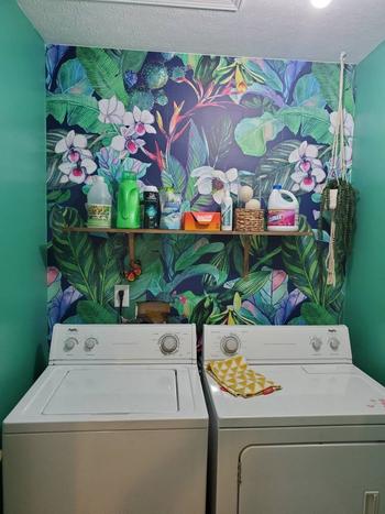 ONDECOR Removable Wallpaper Temporary Wallpaper Colorful Tropical Wallpaper Peel and Stick Wallpaper Wall Paper - B141 Review