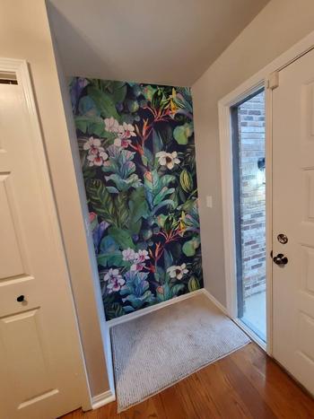 ONDECOR Removable Wallpaper Temporary Wallpaper Colorful Tropical Wallpaper Peel and Stick Wallpaper Wall Paper - B141 Review