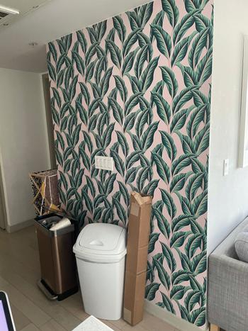 ONDECOR Removable Wallpaper Temporary Wallpaper Contemporary Wallpaper Peel and Stick Wallpaper Wall Paper - B140 Review