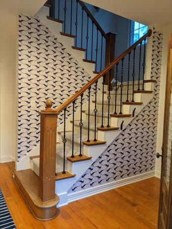 ONDECOR Removable Wallpaper Wallpaper  Wallpaper Peel and Stick Wallpaper Flat Birds Wallpaper - B283 Review