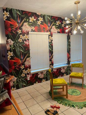 ONDECOR Tropical Jungle Wallpaper, Removable Wallpaper, Self-adhesive Wallpaper, Monstera Wallpaper, Temporary Wallpaper, Jungle Wallpaper - A828 Review