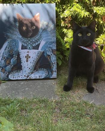 Canvasist Royal Princess Pet Canvas Review