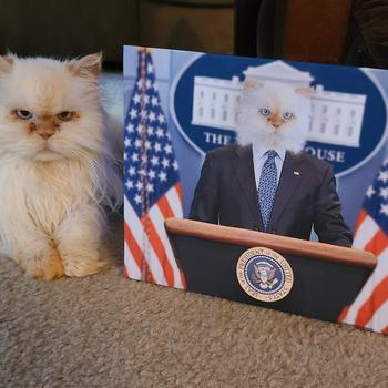 Canvasist Pawsident of United States Pet Canvas Review