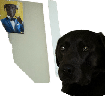 Canvasist Elite Pet Canvas Review