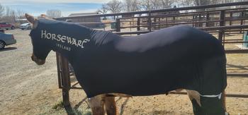 Performance Horse Blankets WeatherBeeta ComFiTec with Therapy-Tec Channel Quilt Detach-a-Neck Medium Stable Blanket Review