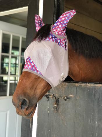 Performance Horse Blankets Cashel Breast Cancer Research Crusader Fly Mask with Ears Review
