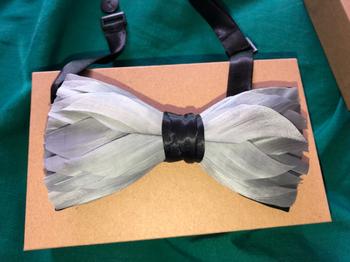 Bow SelecTie Green Feather Bow Tie Review