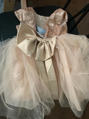 Bailey's Blossoms Mabel Sequin & Tulle Party Dress - Champagne Review