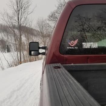 Stealth Performance Products Stealth Module - Ford Powerstroke 6.4L (2008-2010) Review
