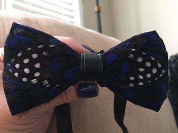 Bow SelecTie Blue Polka Dot Feather Bow Tie Review