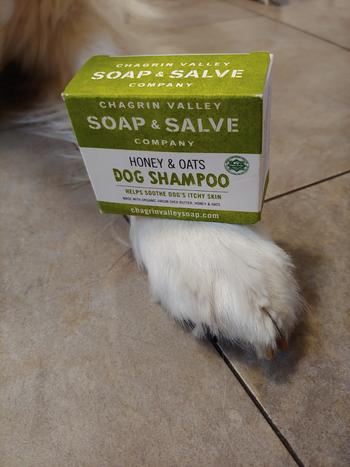 DIG + CO. honey + oats dog shampoo Review