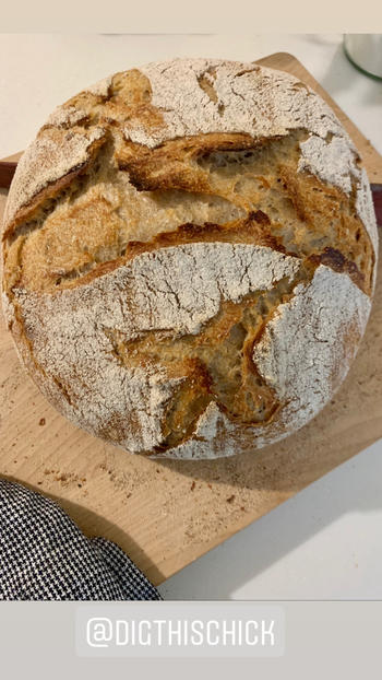 DIG + CO. The Heart of Sourdough Bread Baking - digital live workshop Review