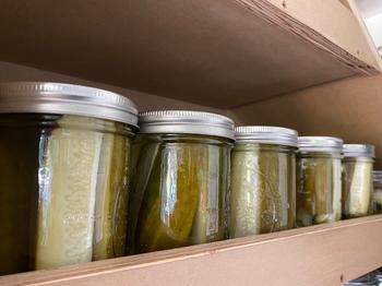 DIG + CO. Canning Pickles: Digital LIVE Canning Workshop with my mom / September 13, 2020 Review