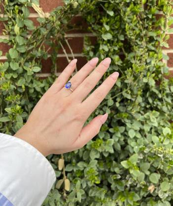 LISA ROBIN The Casey Hidden Halo Oval Blue Sapphire Engagement Ring Review