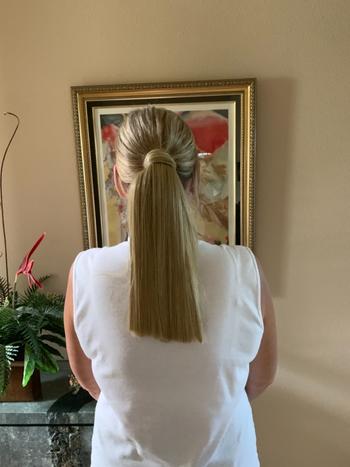 WigOutlet.com Aqua by Ellen Wille | Synthetic Ponytail (Wrap-Around) Review