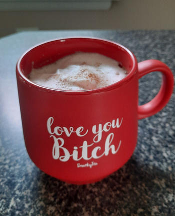Snarky Tea Love You Bitch Mug Review