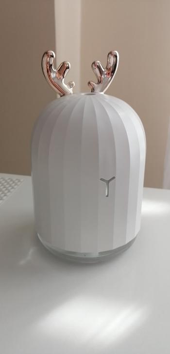 TrendyVibes.CO Ultrasonic Home Car USB Air Humidifier Review