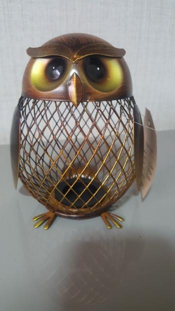 TrendyVibes.CO Metal Wise Owl Coin Bank Review