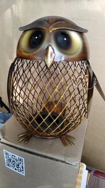 TrendyVibes.CO Metal Wise Owl Coin Bank Review