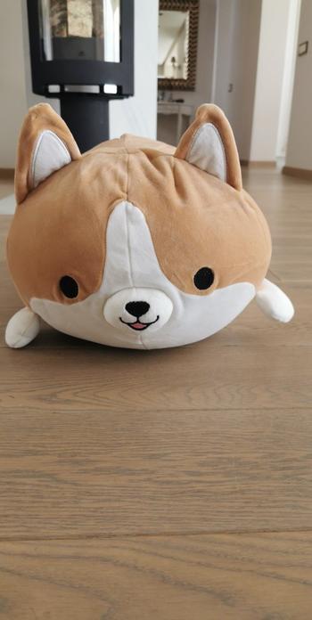 TrendyVibes.CO Adorable and Chubby Corgi Plush Pillows Review