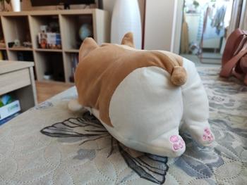 TrendyVibes.CO Adorable and Chubby Corgi Plush Pillows Review