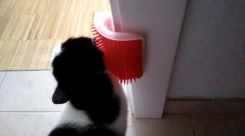 TrendyVibes.CO Self Groomer and Hair Removing Brush and Toy for Cats Review