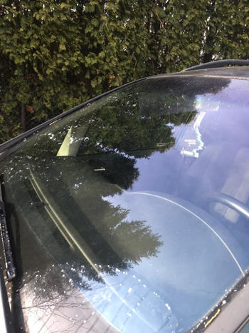 TrendyVibes.CO Easy Car Window Glass Cleaner Review