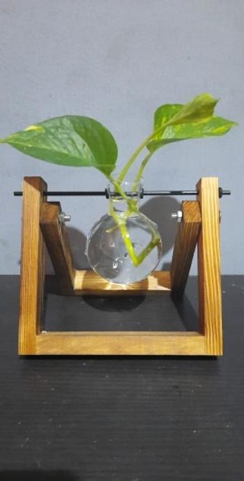 TrendyVibes.CO Flower Pot Glass and Wood Vase Planter For Home Decor Review