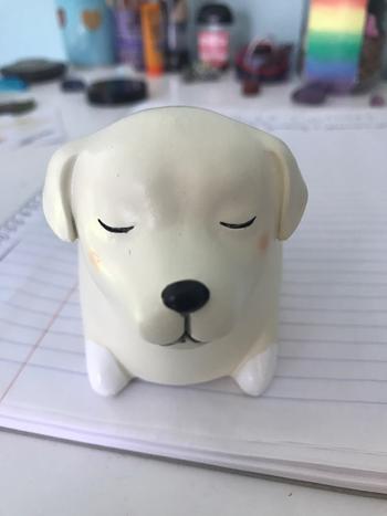 TrendyVibes.CO Cute Puppy Resin Planters Pots For Flowers Review
