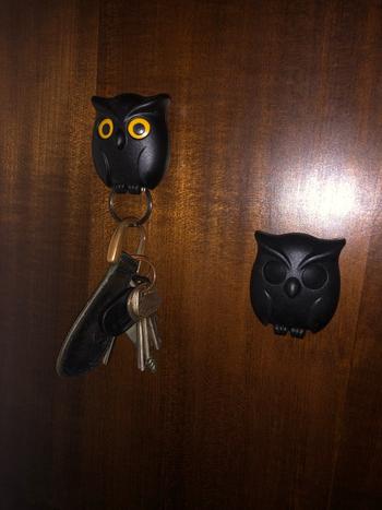 TrendyVibes.CO Cute Owl Magnetic Wall Hanging Key Holder Review