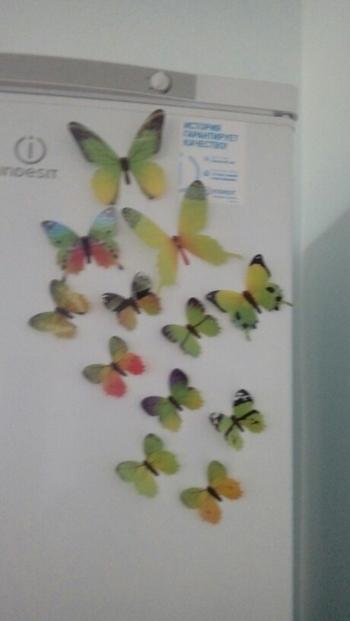 TrendyVibes.CO 12Pcs 3D Butterflies Wall Sticker For Home Decorations Review